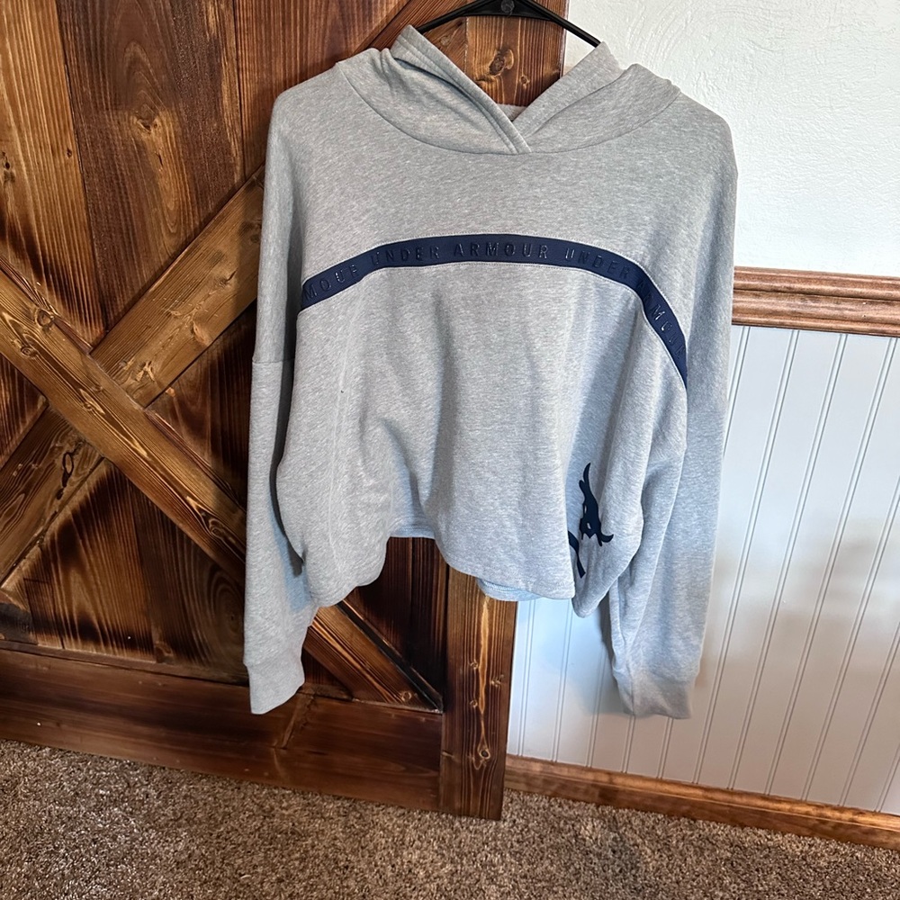 Under armour project rock hoody